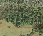 0 Holopaw Groves Rd - Photo 2
