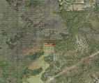 0 Holopaw Groves Rd - Photo 3