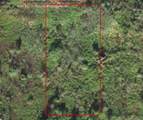 0 Polk City Rd - Photo 2