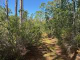 0 Holopaw Groves Rd - Photo 3