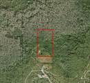 0 Holopaw Groves Rd - Photo 4