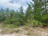 0 Holopaw Groves Road - Photo 2