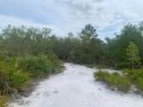 0 Holopaw Groves Road - Photo 3