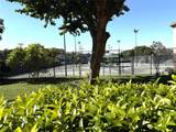 620 Tennis Club Drive - Photo 3