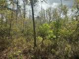 0 County Rd 54 - Photo 2