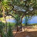 3634 95th Terrace - Photo 1