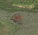 0 Holopaw Groves - Photo 1