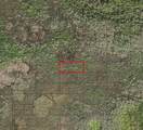 0 Holopaw Groves - Photo 1