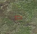 0 Holopaw Groves - Photo 1