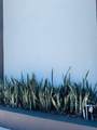 225 Miami Avenue - Photo 33