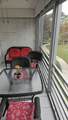 4851 26th Court - Photo 18