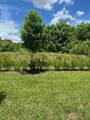 4393 Hammock Grove Drive - Photo 8