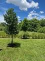4393 Hammock Grove Drive - Photo 9