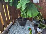 6014 3rd Street - Photo 24