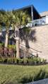 9841 Isabelline Drive - Photo 48