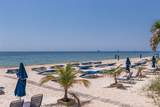 3700 Galt Ocean Drive - Photo 4