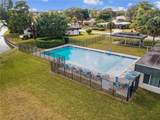5704 Travelers Palm - Photo 21