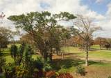 625 Oaks Drive - Photo 77