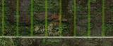 0 Old Grade Road - Photo 1