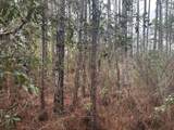 0 Old Grade Road - Photo 2