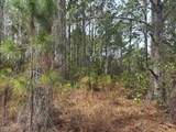 0 Old Grade Road - Photo 3