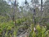 0 Old Grade Road - Photo 3