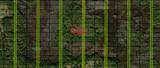 0 Old Grade Road - Photo 1