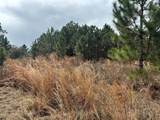 0 Old Grade Road - Photo 2