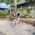 427 Sea Grove - Photo 1