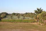 331 Orange Tree Drive - Photo 3