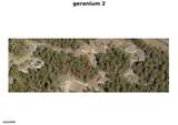 6 Geranium Court - Photo 2