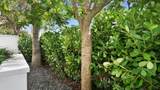 155 Boca Raton Road - Photo 103