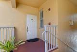 1015 Shoma Drive - Photo 3