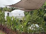 0000 Hope Garden - Photo 12