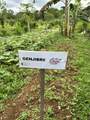 0000 Hope Garden - Photo 27