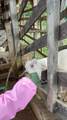 0000 Hope Garden - Photo 29