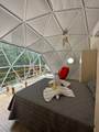 0000 Hope Garden - Photo 3