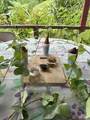 0000 Hope Garden - Photo 30