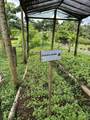 0000 Hope Garden - Photo 33