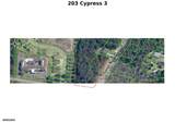 203 Cypress Boulevard - Photo 3