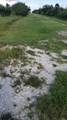 19833 280th Street - Photo 4