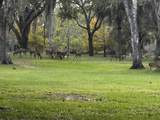 32801 Us Highway 441N Lot 167 - Photo 3