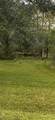 32801 Us Highway 441N Lot 167 - Photo 4