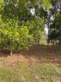 17755 Fox Trail Lane - Photo 3