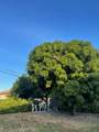 235 3rd Court - Photo 16