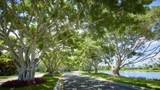 10240 Blue Heron Cove - Photo 40