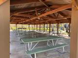 11434 Orange Blossom Lane - Photo 46