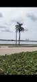 1801 Flagler Short Term Or Annually Drive - Photo 34
