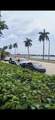 1801 Flagler Short Term Or Annually Drive - Photo 35