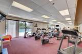 10927 Dolphin Palm Court - Photo 35